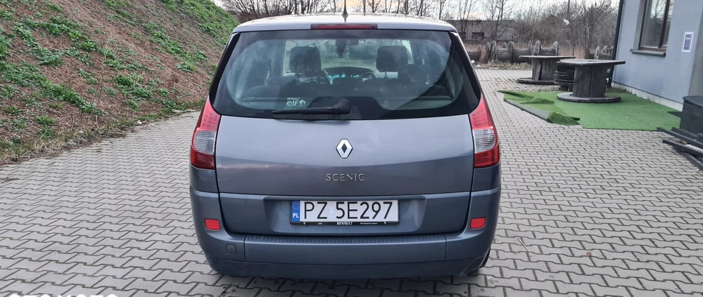 Renault Scenic cena 12400 przebieg: 187530, rok produkcji 2008 z Mogilno małe 301